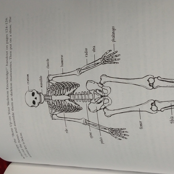 Book Laughing Lessons - Picture 12 of 12